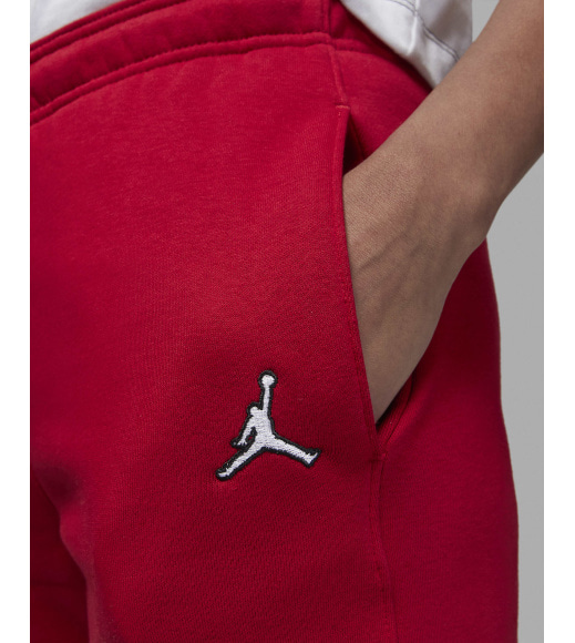 Спортивные штаные Jordan Brooklyn Women's Fleece Pants (DQ4478-687)