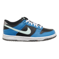 Кросівки жіночі Nike Duke Low Se Gs E (DR0165-001)