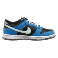 Кроссовки женские Nike Nike Dunk Low Se Gs E (DR0165-001)