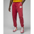 Спортивные штаны Jordan Essential Statement Fleece Trousers (DR3089-612)