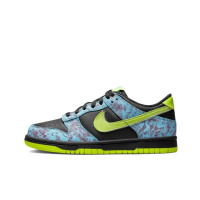 Кроссовки женские Nike Dunk Low Gs “Acid Wash” (DV1694-900)