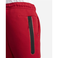 Спортивні штани Nike Sportswear Tech Fleece Joggers (CU4495-687)