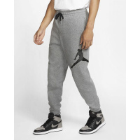 Спортивные штаны Jordan Jumpman Logo Fleece Pant (BQ8646-091)