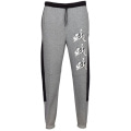 Спортивные штаны Jordan Nfs Mj Jmc Flc Pant (DQ5680-091)