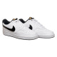 Кроссовки мужские Nike Court Vision Low Men's Shoes (DV1899-100)