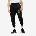 Спортивные штаны Nike Club Plus Logo Pants Flc (DX0795-010)