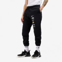 Спортивные штаны Nike Club Plus Logo Pants Flc (DX0795-010)