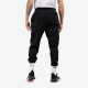 Спортивні штани Nike Club Plus Logo Pants Flc (DX0795-010)