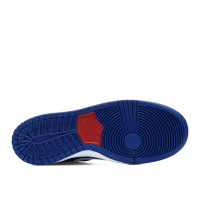 Кросівки чоловічі Nike Dunk Low Pro Ishod Wair (819674-416)