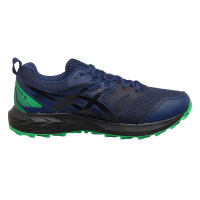 Кроссовки мужские Asics Gel-Sonoma 6 G-Tx Gore-Tex (1011B048-400)