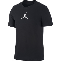 Футболка мужская Jordan Jumpman Dri-Fit Short Sleeve Crew (CW5190-010)