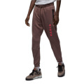 Спортивные штаны Jordan Paris Saint-Germain Pants (DM3094-291)
