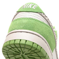 Кроссовки мужские Nike Dunk Low (DR0156-300)