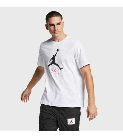 Футболка мужская Jordan Jumpman Flight Men's T-Shirt (AO0664-100)