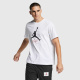 Футболка мужская Jordan Jumpman Flight Men's T-Shirt (AO0664-100)