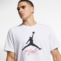 Футболка мужская Jordan Jumpman Flight Men's T-Shirt (AO0664-100)