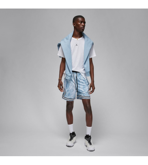 Футболка мужская Jordan Dri-Fit Sport Performance (FN5829-100)