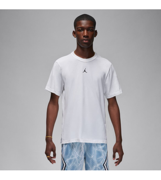 Футболка мужская Jordan Dri-Fit Sport Performance (FN5829-100)