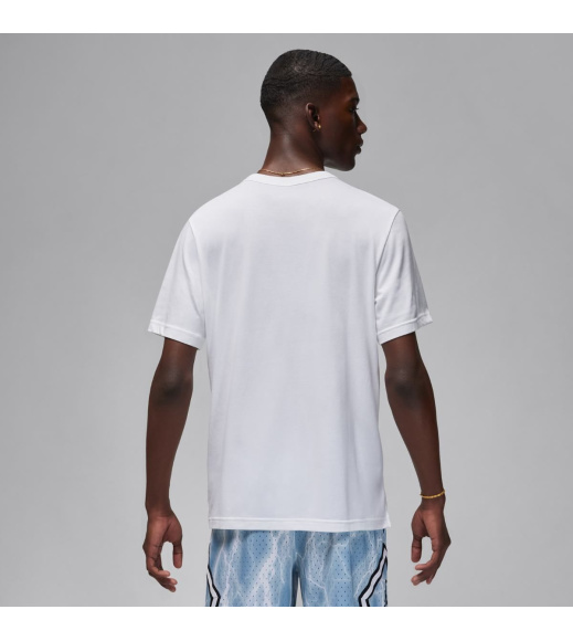 Футболка мужская Jordan Dri-Fit Sport Performance (FN5829-100)