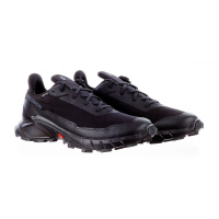 Черные кроссовки мужские Salomon Alphacross 5 Gore-Tex (L47307500)