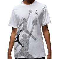 Футболка мужская Jordan Brand Ss Hbr Crew (FN6025-100)