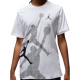 Футболка мужская Jordan Brand Ss Hbr Crew (FN6025-100)