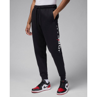Спортивные штаны мужские Jordan Essentials (HQ4645-010)