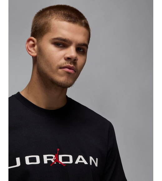 Футболка мужская Jordan Air (IB7353-010)