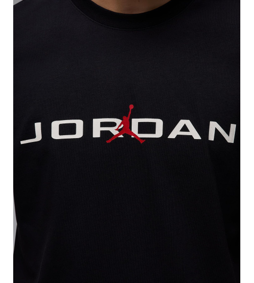 Футболка мужская Jordan Air (IB7353-010)