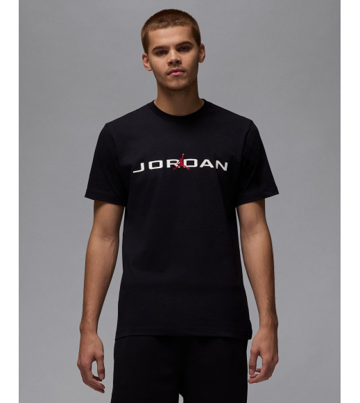 Футболка мужская Jordan Air (IB7353-010)