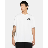 Футболка мужская Nike Sb Chino Shorts (DC7817-100)