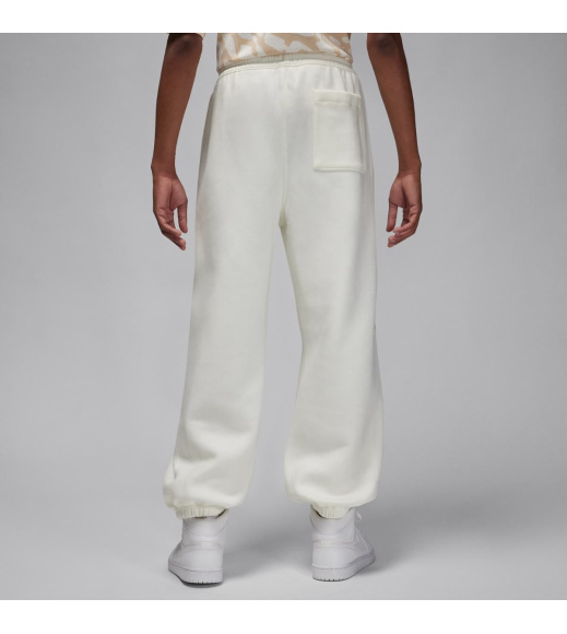 Спортивные штаны мужские Jordan Paris Saint-Germain (DZ2949-133)