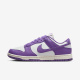 Фиолетовые кроссовки женские Nike Dunk Low Next Nature (DD1873-108)
