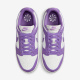 Фиолетовые кроссовки женские Nike Dunk Low Next Nature (DD1873-108)