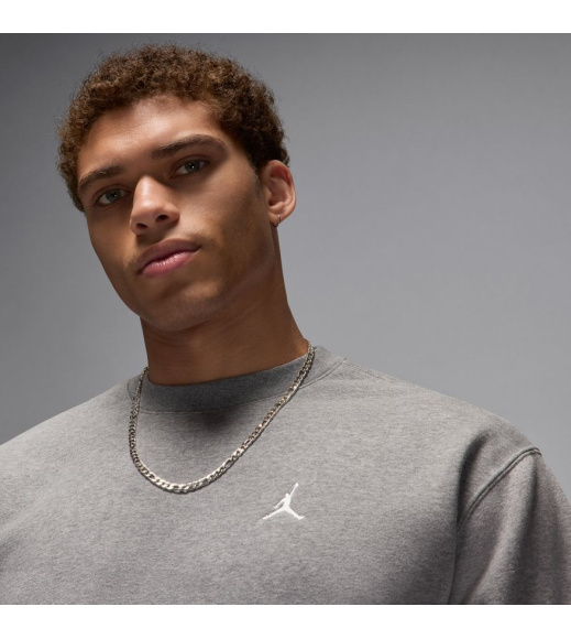 Спортивная кофта мужская Jordan Brooklyn Fleece (FV7293-091)