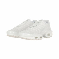 Чоловічі кросівки NIKE AIR MAX PLUS AJ2029-100