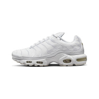 Белые мужские кроссовки NIKE AIR MAX PLUS AJ2029-100