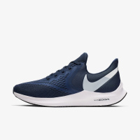 Мужские кроссовки NIKE ZOOM WINFLO 6 AQ7497-401