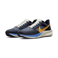 Чоловічі кросівки NIKE AIR ZOOM PEGASUS 39 PRM DO9580-400