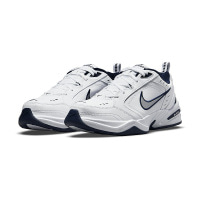 Чоловічі кросівки NIKE AIR MONARCH IV 416355-102