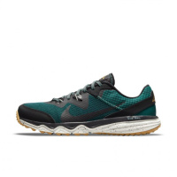 Мужские кроссовки NIKE JUNIPER TRAIL CW3808-302