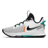 Белые мужские кроссовки NIKE LEBRON WITNESS V CQ9380-100