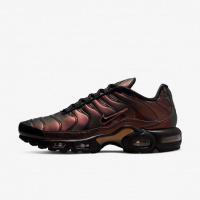 Мужские коричневые кроссовки NIKE AIR MAX PLUS OG DH4778-001