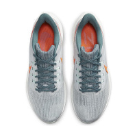 Чоловічі кросівки NIKE AIR ZOOM PEGASUS 39 DH4071-003