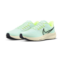 Чоловічі кросівки NIKE AIR ZOOM PEGASUS 39 DH4071-301