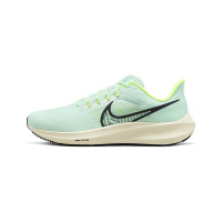 Мужские кроссовки NIKE AIR ZOOM PEGASUS 39 DH4071-301