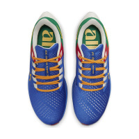 Чоловічі кросівки NIKE AIR ZOOM PEGASUS 38 JM DO7763-400