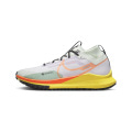 Мужские кроссовки NIKE REACT PEGASUS TRAIL 4 GTX DJ7926-500