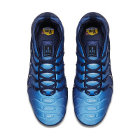 Чоловічі кросівки NIKE AIR VAPORMAX PLUS 924453-401