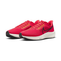 Чоловічі кросівки NIKE AIR ZOOM PEGASUS 39 DH4071-600